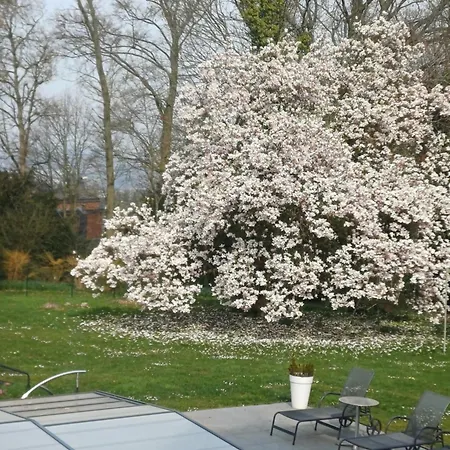 Chatelet Cremers Couette-café Verviers