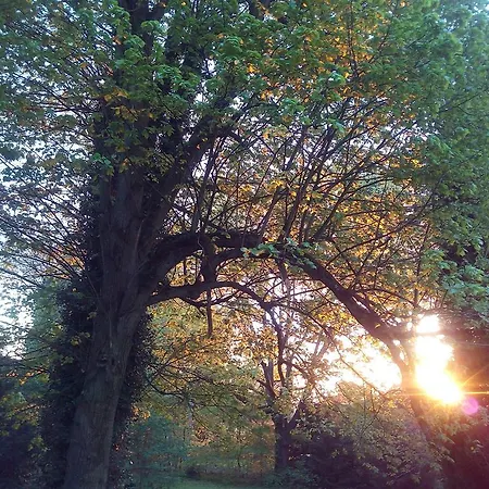 Bed & Breakfast Chatelet Cremers 3*