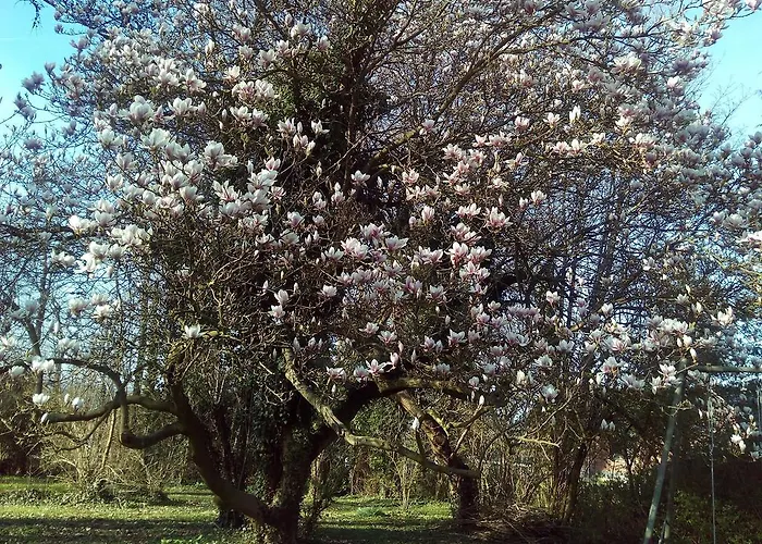 Bed & Breakfast Chatelet Cremers